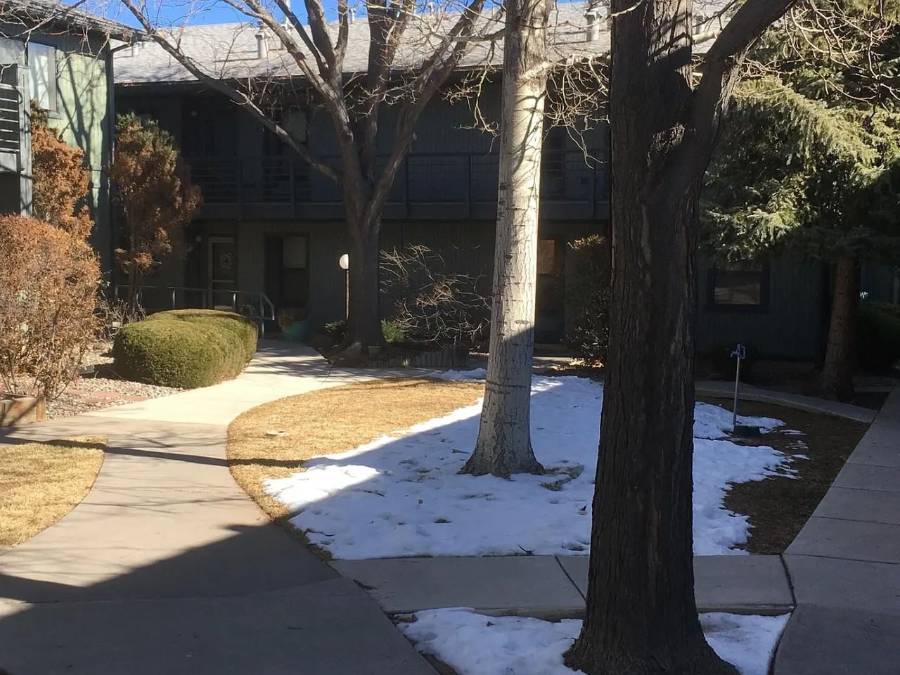 1300 Iris St #203 - Photo 2 of 10