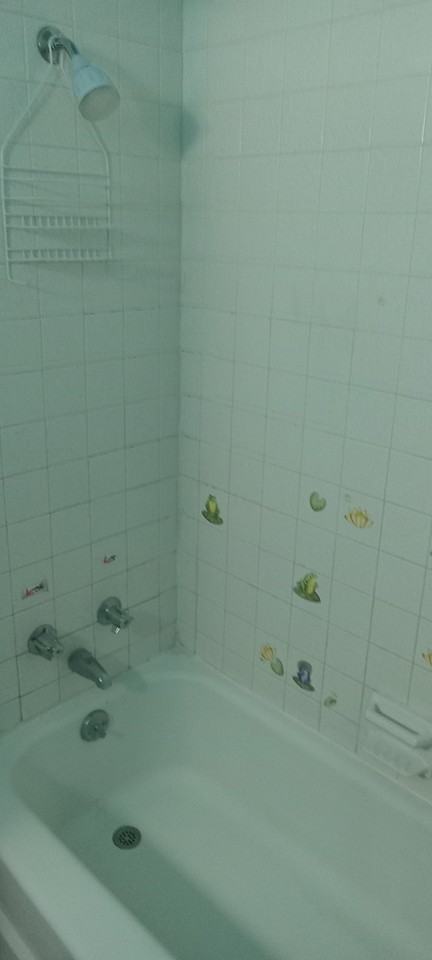 429 Somerset Avenue - Photo 3 of 13
