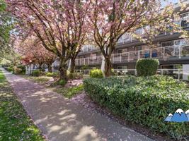 featured image of 550 Royal Ave