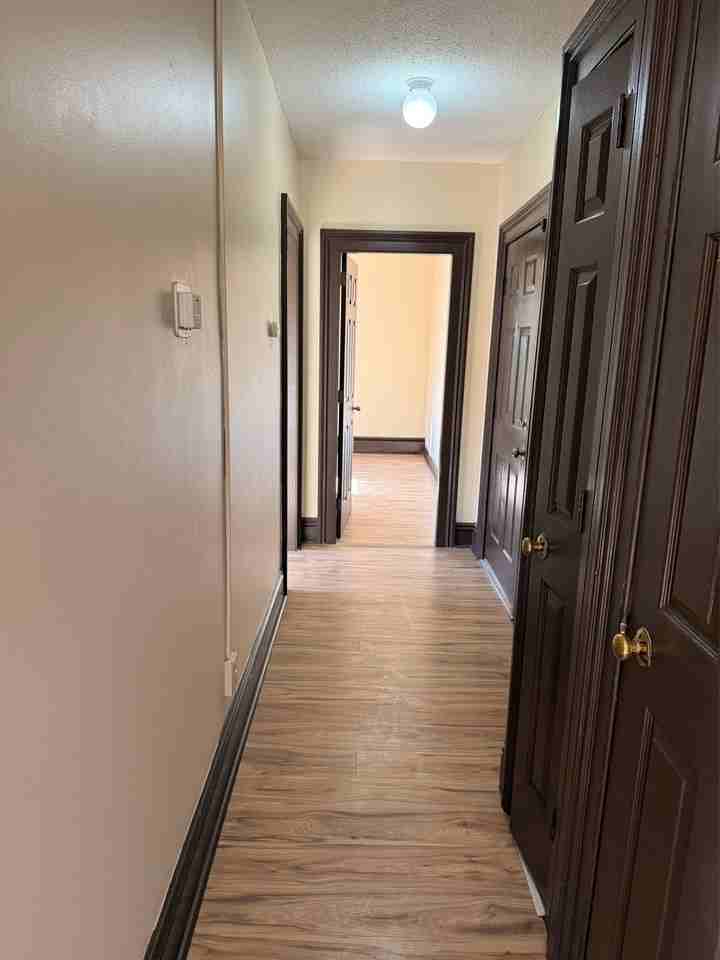 52 Alden St #52A202 - Photo 4 of 8