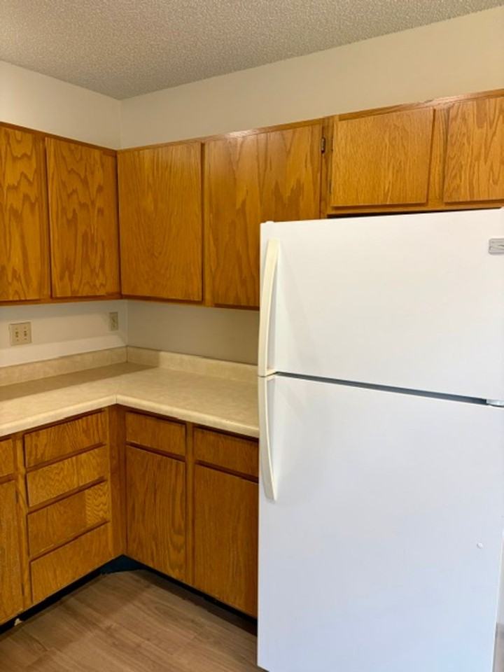 217 S 18th Ave #D - Photo 5 of 17