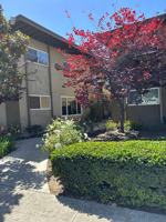 featured image of 314 E Pearson Ave