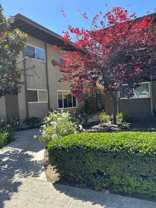 Pearson - Photo 1 of 1