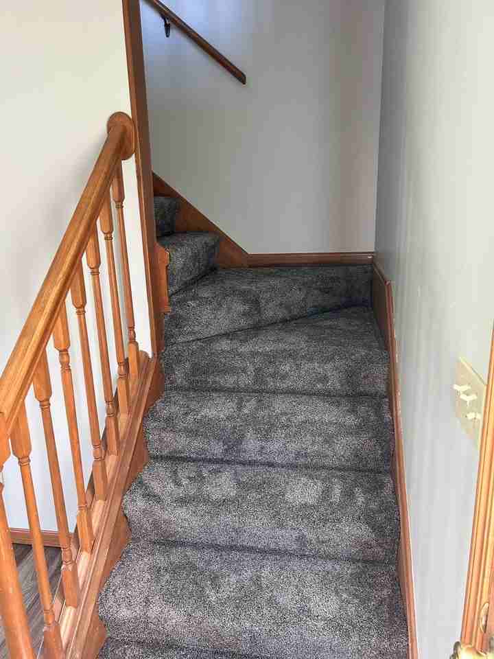 221 Coulter St - Photo 7 of 16
