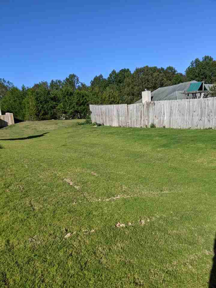 233 Ravenwood Dr - Photo 6 of 21