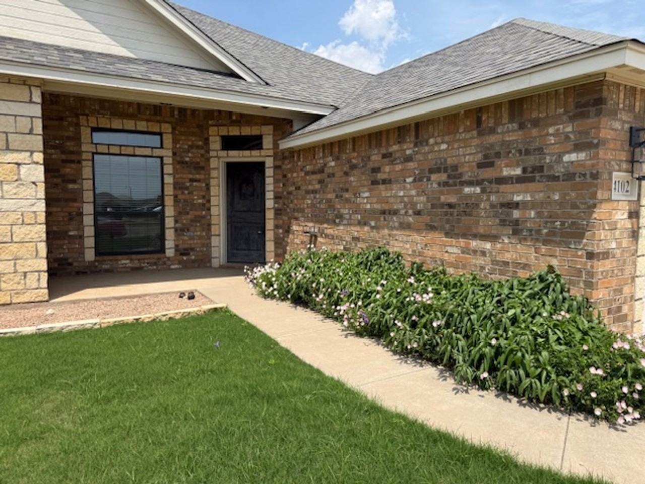 4102 Carrera Ln - Photo 2 of 23