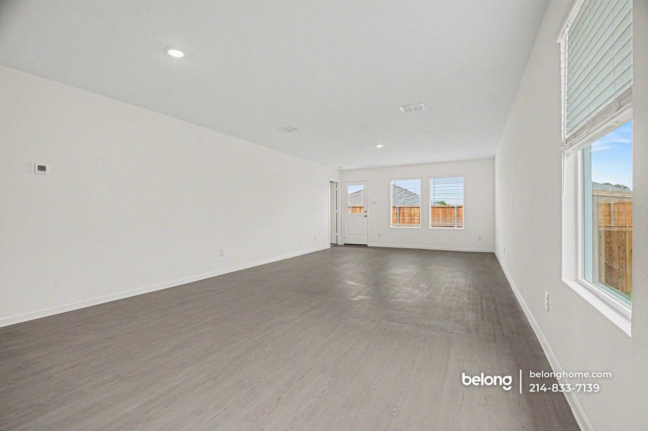 3168 Burmese St - Photo 4 of 23