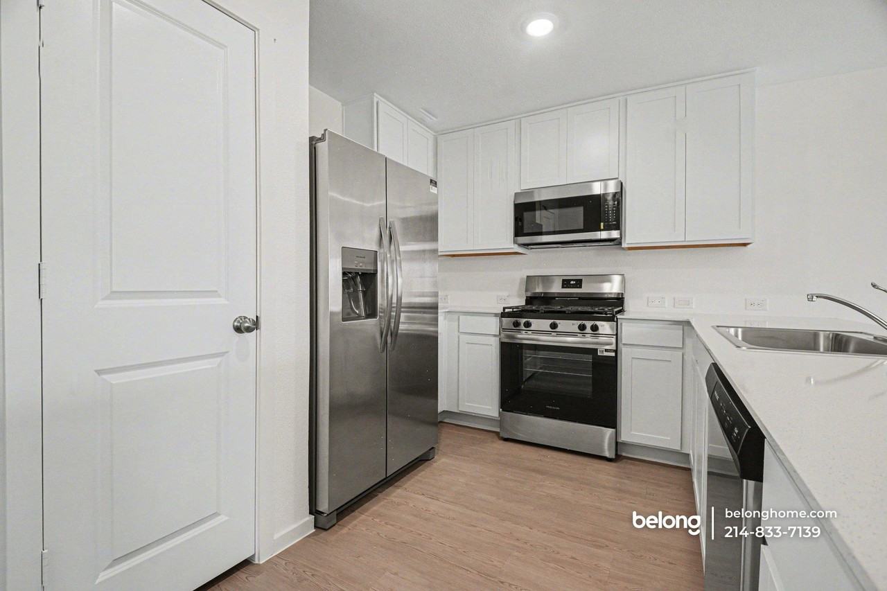 3168 Burmese St - Photo 5 of 23