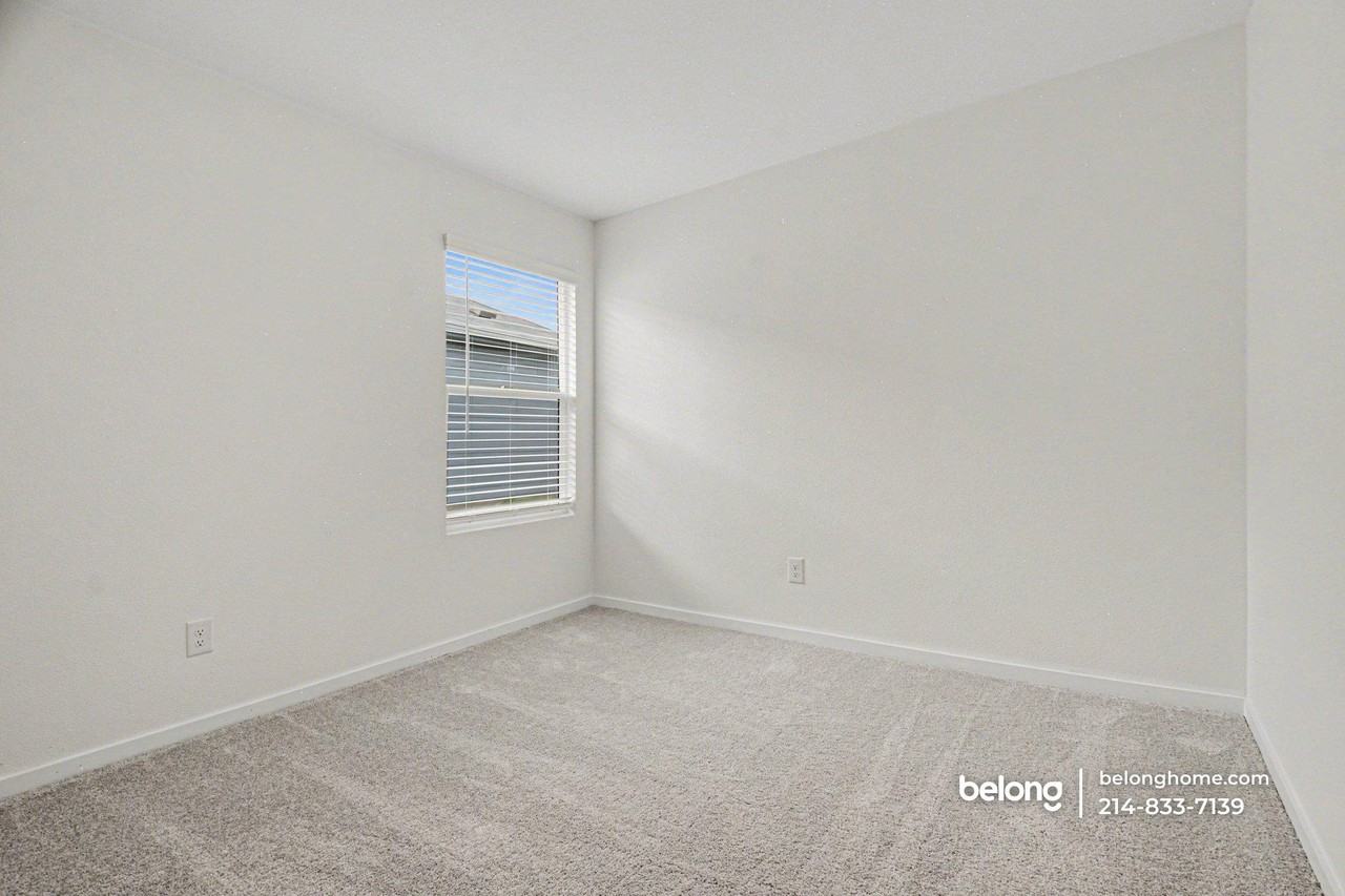 3168 Burmese St - Photo 7 of 23