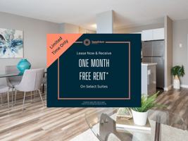 featured image of 41 Cowie Hill Rd