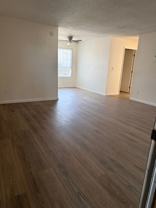 Kennedy - Photo 1 of 1