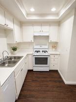 Daisy Apartments - Photo 1 of 1