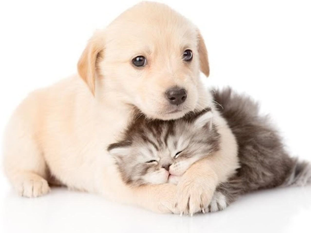 15242 29th Ave S - Photo 3 of 6