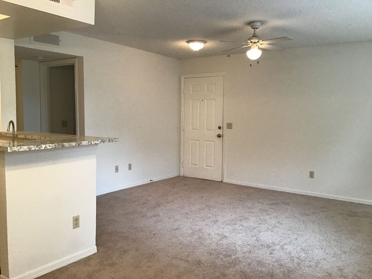 1029 S Hiawassee Rd #2412 - Photo 3 of 22