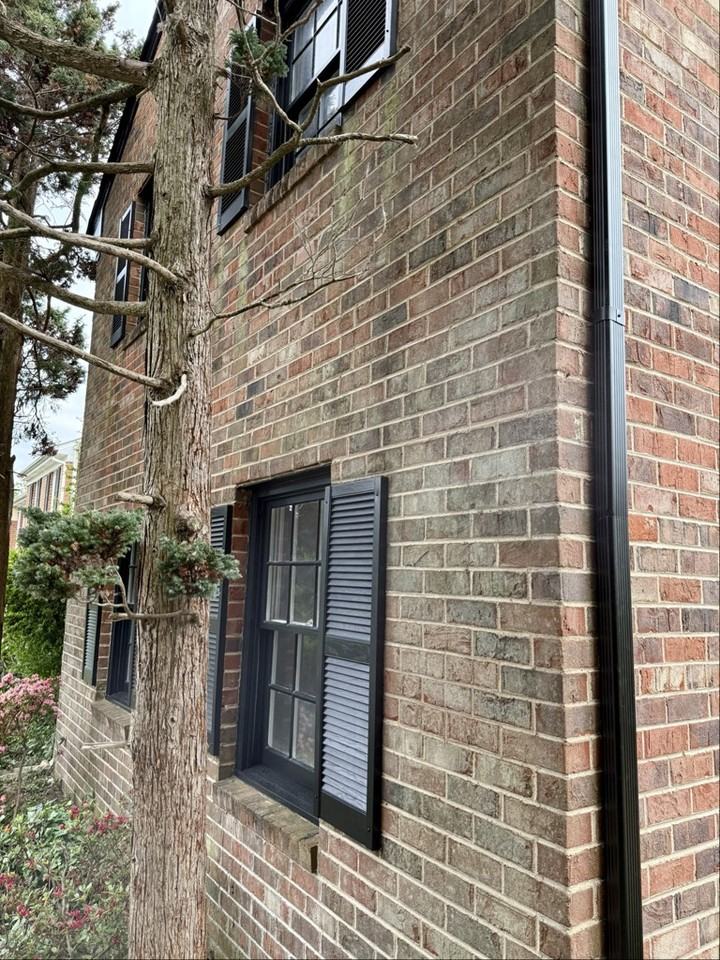 727 Olde Greenwich Cir - Photo 5 of 24