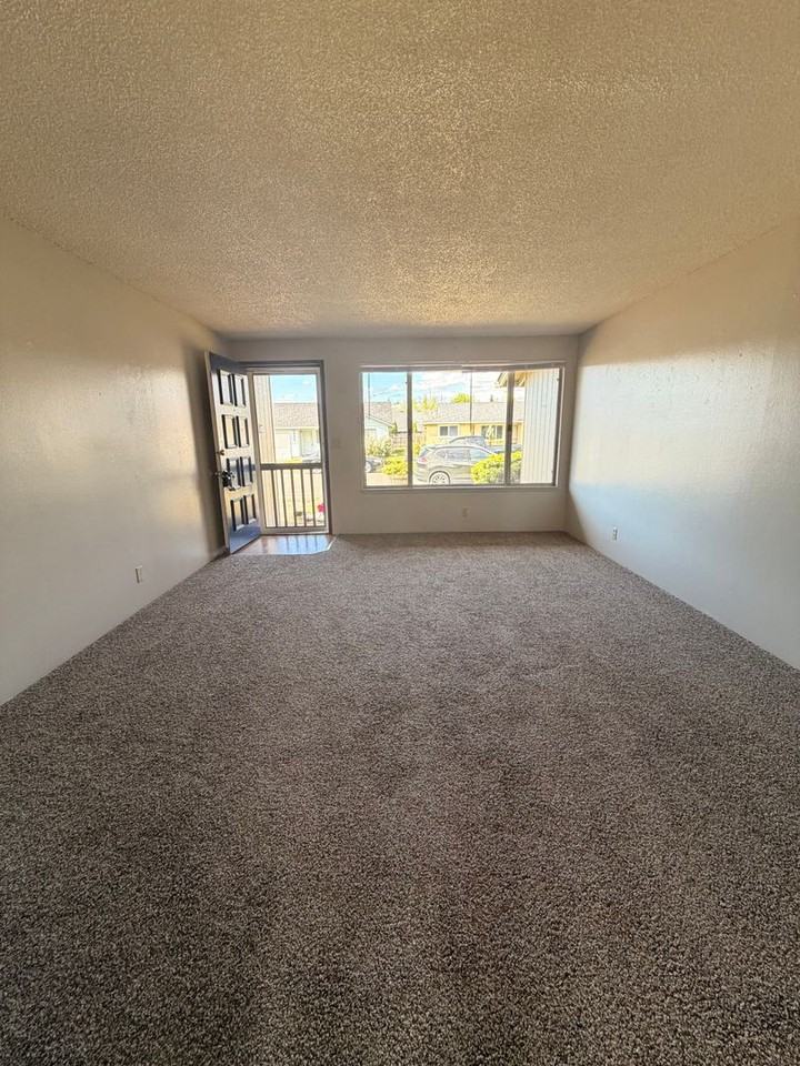 4839 Elderberry Loop - Photo 3 of 15