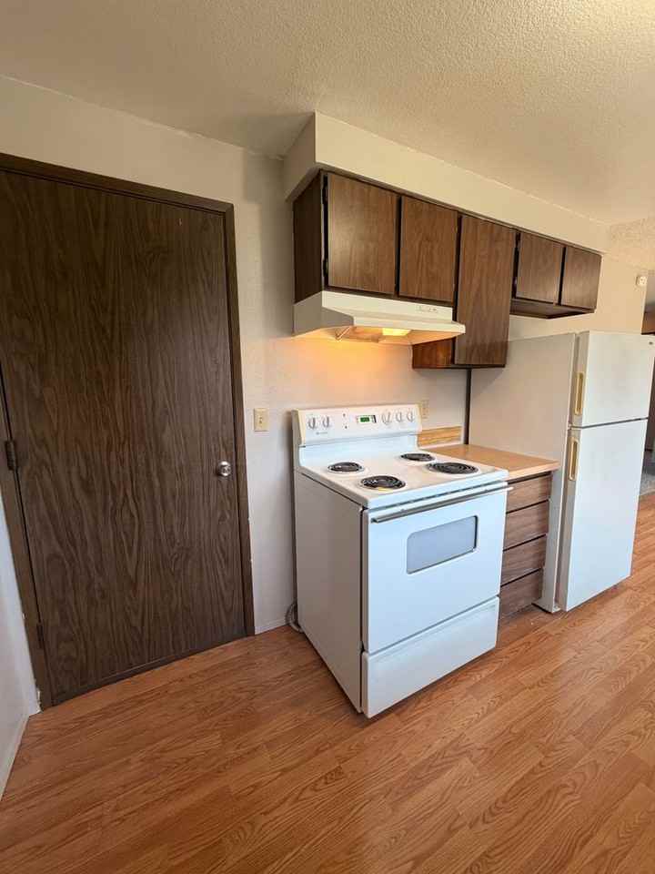 4839 Elderberry Loop - Photo 6 of 15