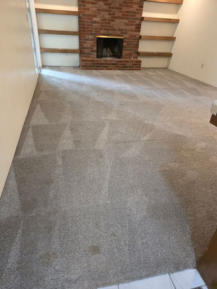 3824 Christmas Tree Ln - Photo 3 of 22