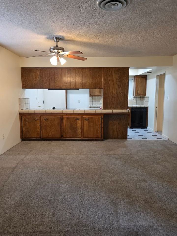3824 Christmas Tree Ln - Photo 6 of 22