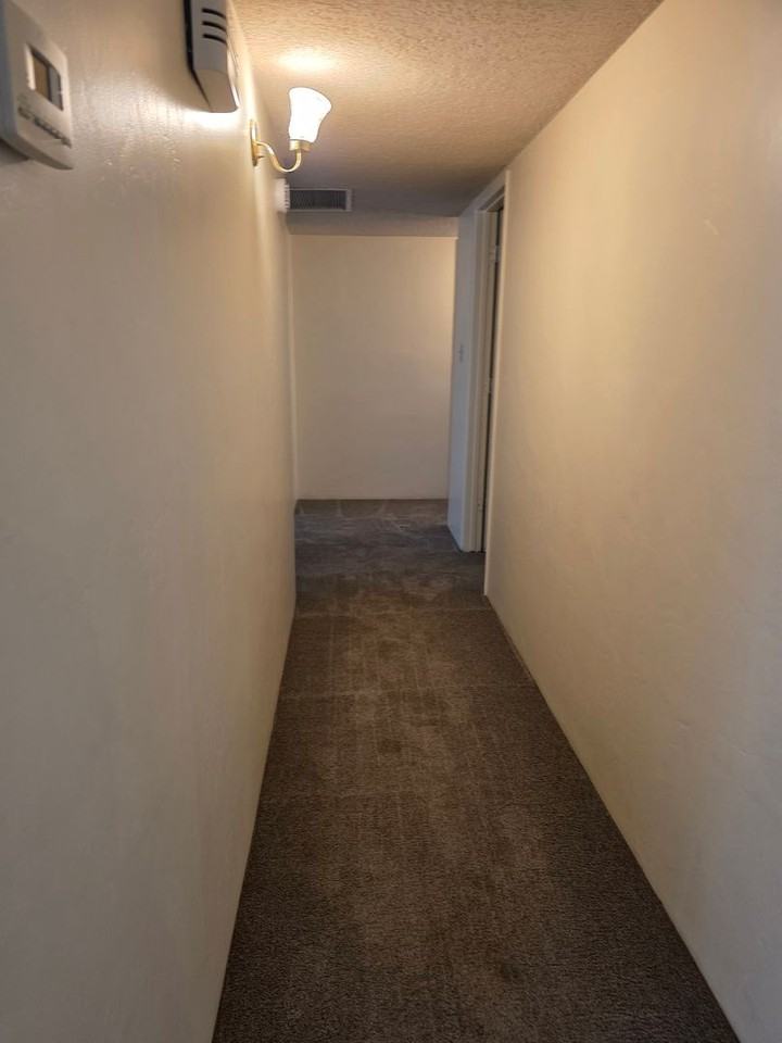 3824 Christmas Tree Ln - Photo 7 of 22