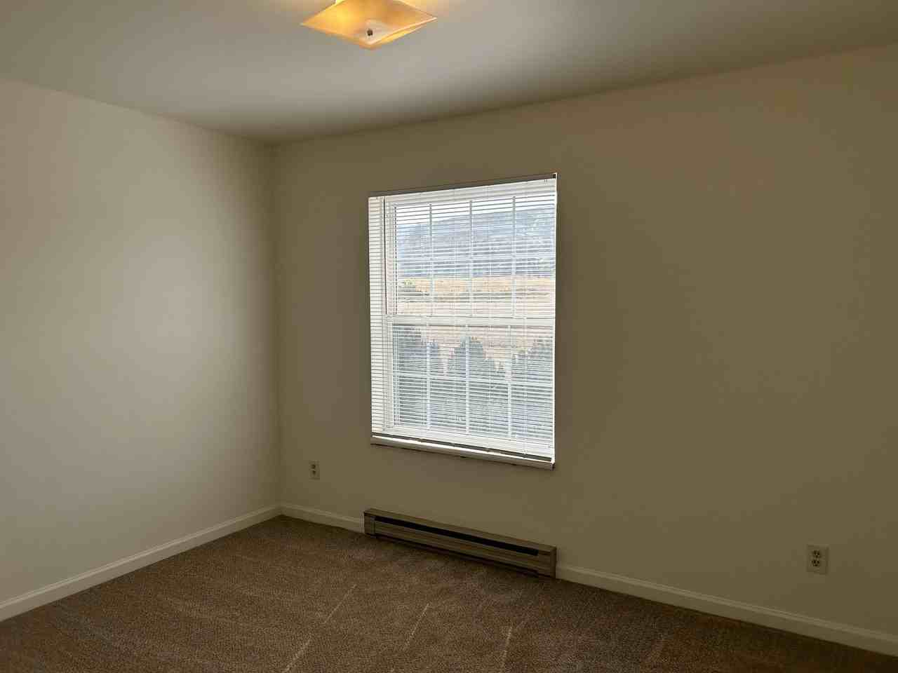 1813 Belmar Dr Apt C1 - Photo 7 of 11