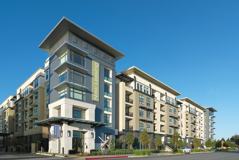 Radius - Photo 1 of 1