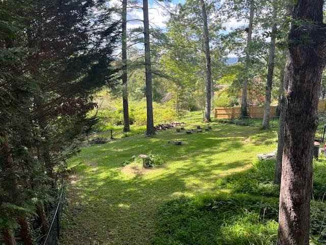 713 Maybank Dr - Photo 3 of 16