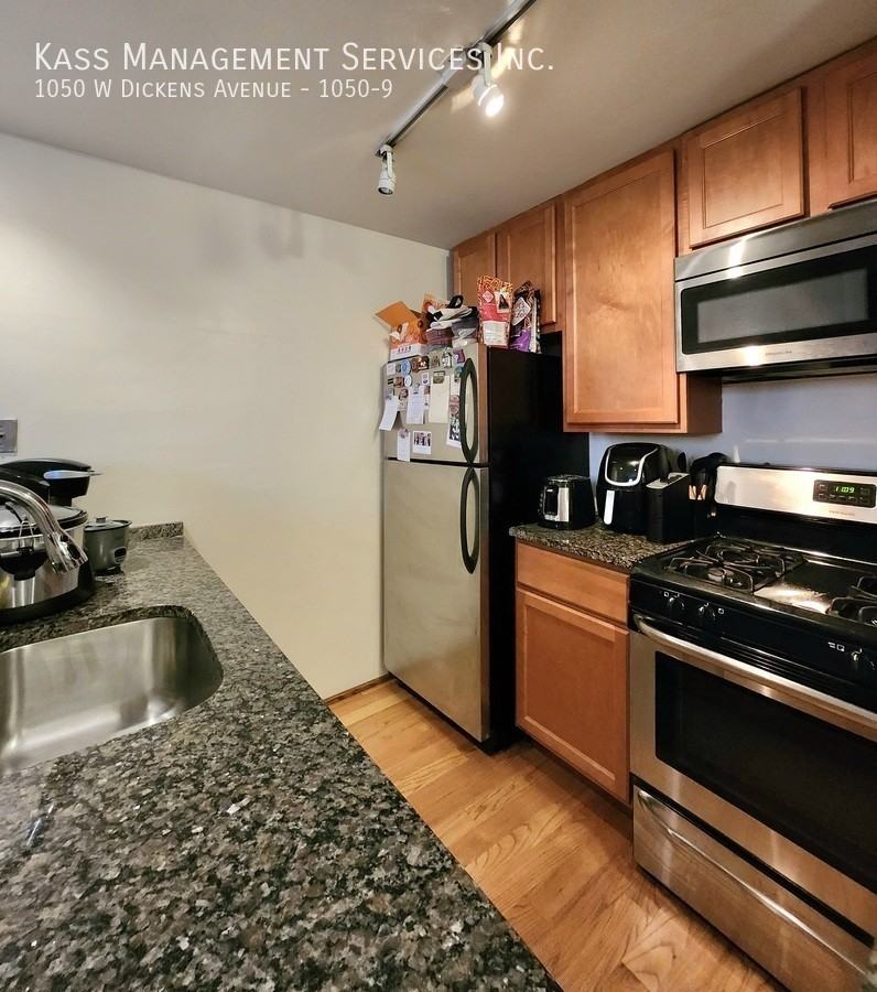 1050 W Dickens Ave #1050-9 - Photo 4 of 19