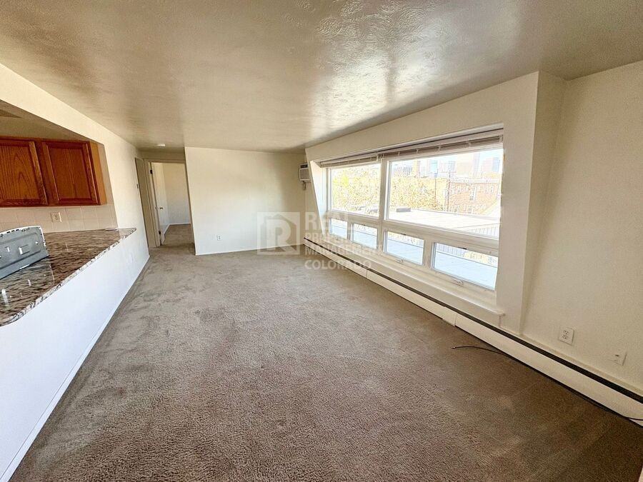 1221 N Clarkson St #12 - Photo 4 of 10