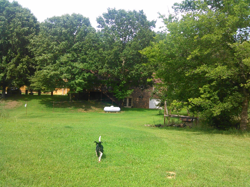 8310 Middle Butler Rd - Photo 2 of 30