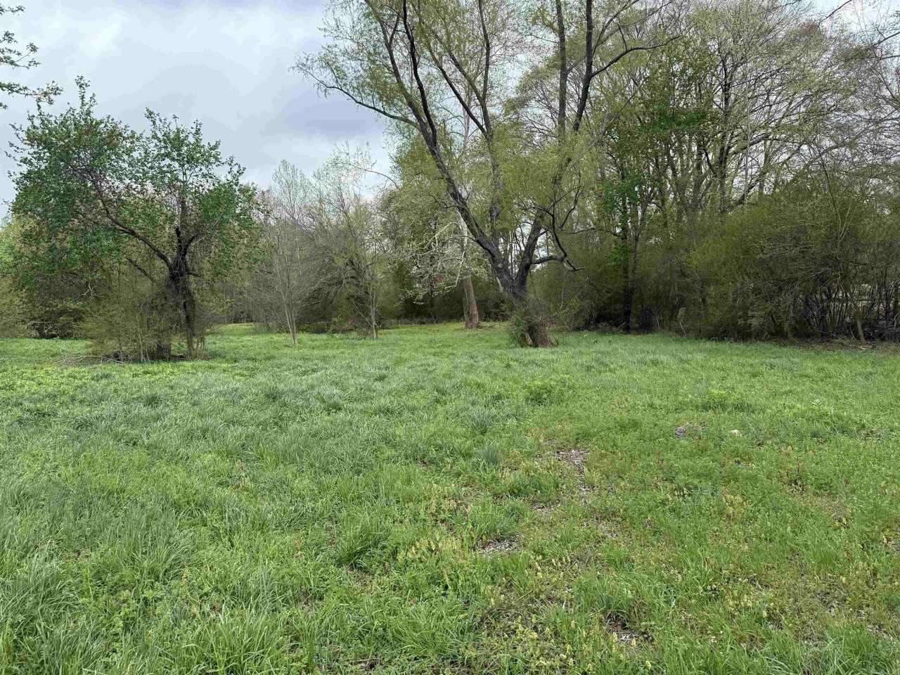 2728 Highway 157 - Photo 5 of 8