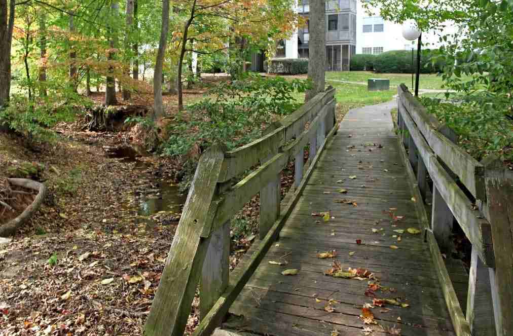 The Hedges Apartment Homes - Photo 7 of 12