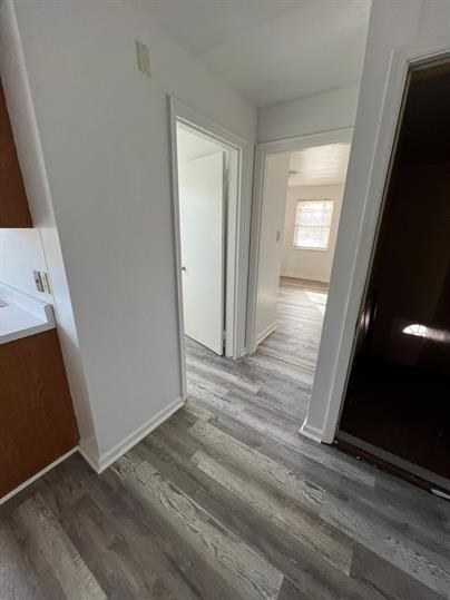 250 Basswood Ave #4 - Photo 5 of 9