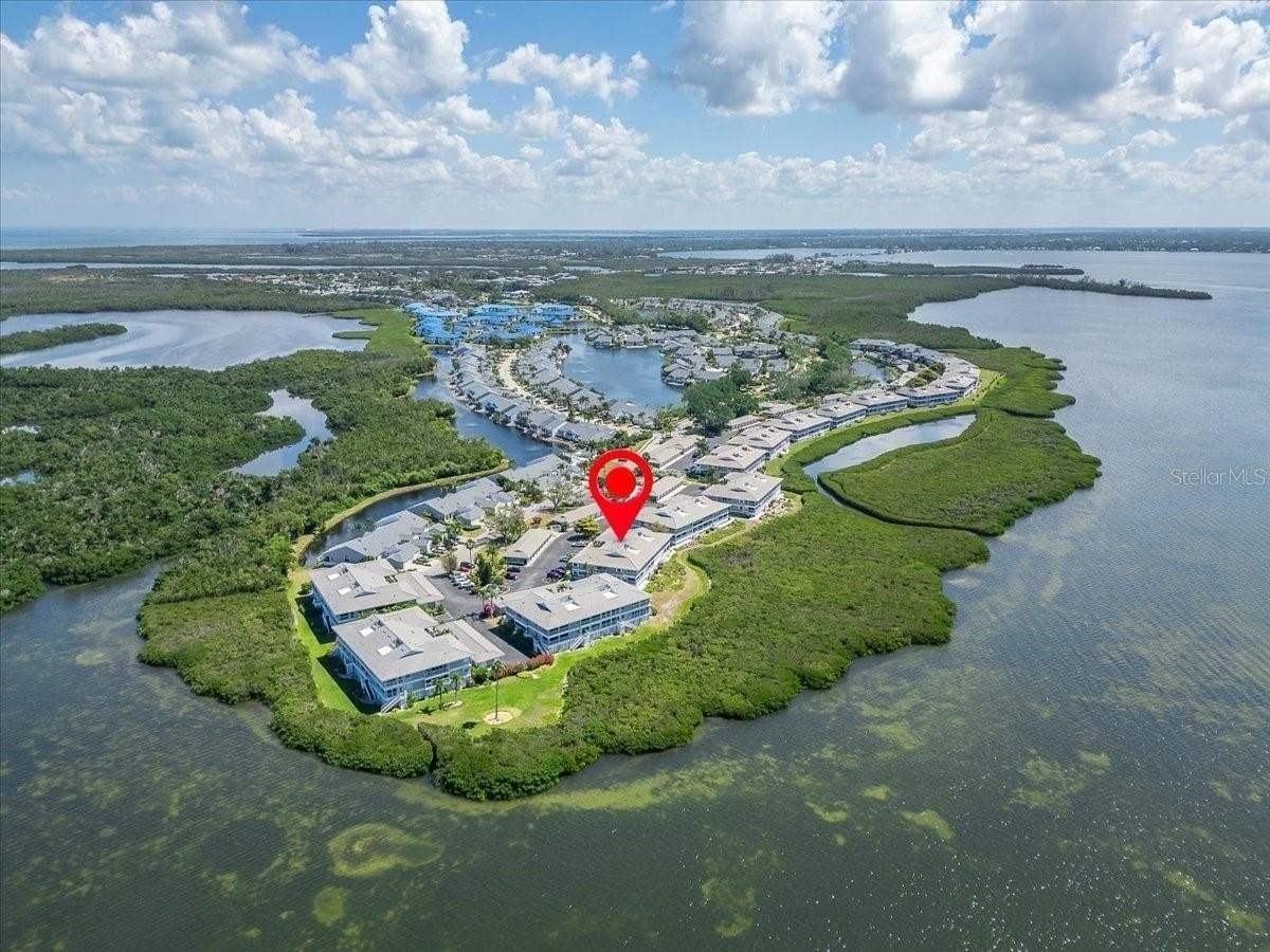 1343 Perico Point Cir #117 - Photo 3 of 50