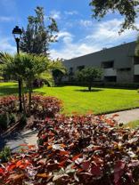 36750 Us Highway 19 N #6-109 - Photo 1 of 1