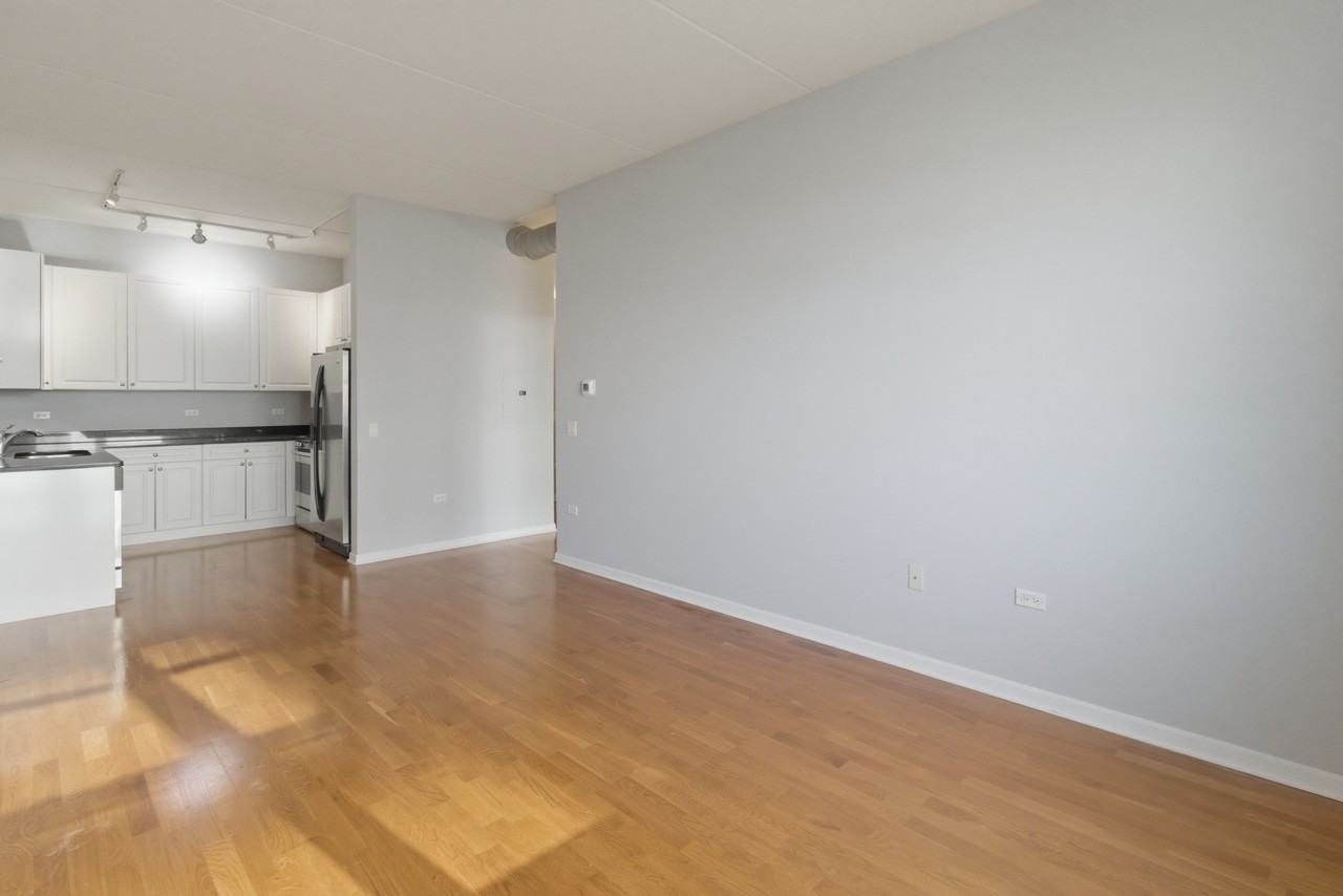 873 N Larrabee St #507 - Photo 3 of 11