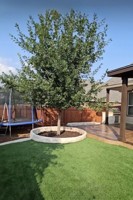 featured image of 2805 Cheney Rd #NA