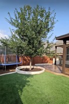 2805 Cheney Rd #NA - Photo 1 of 1