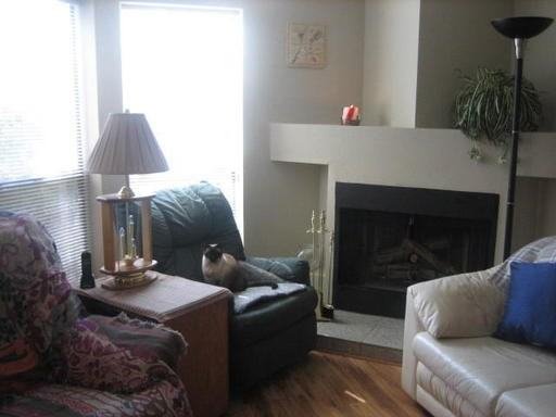 3228 W Glendale Ave #151 - Photo 6 of 41