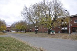 featured image of 1252 Grenadier Dr