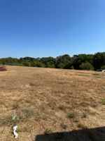 featured image of 311 Crescent Meadows Ln