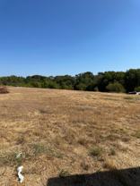 311 Crescent Meadows Ln - Photo 1 of 1