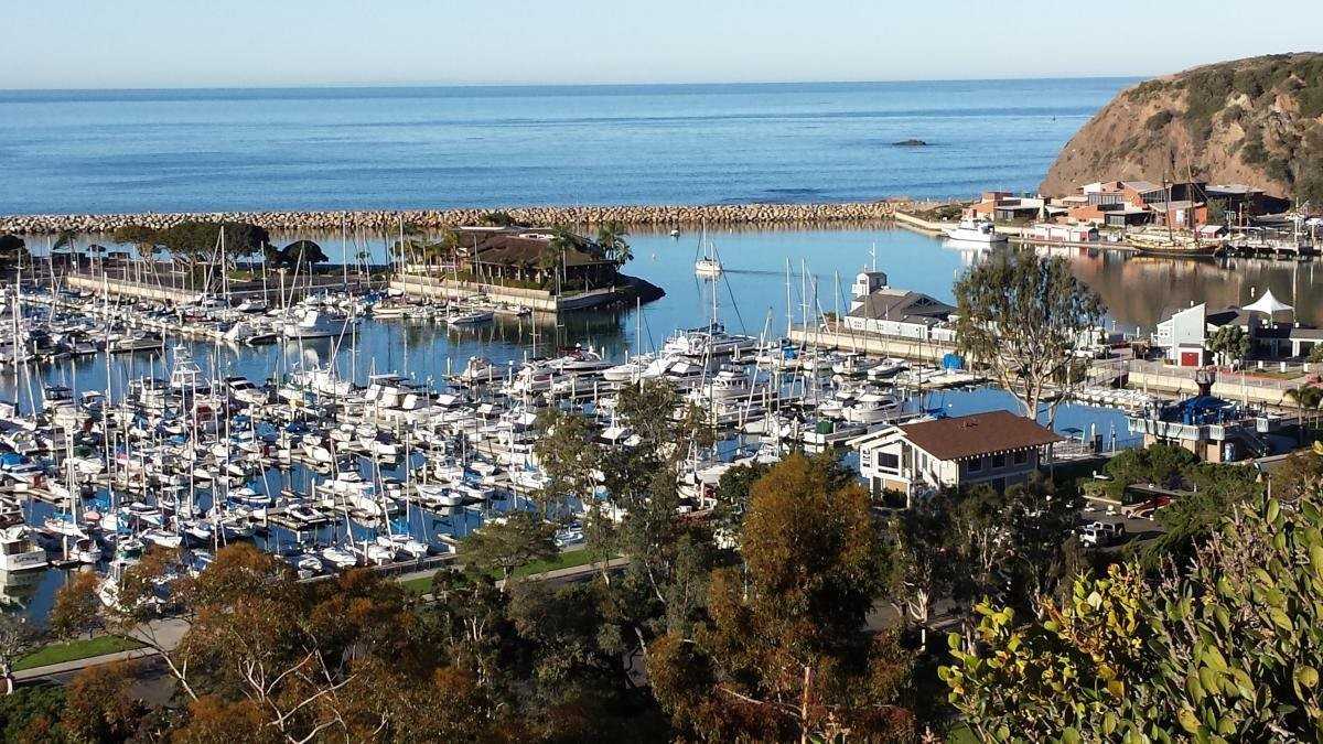 33901 Copper Lantern St - Photo 5 of 9