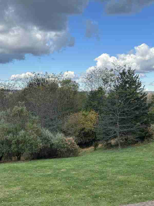 36 Highland Cir - Photo 2 of 39