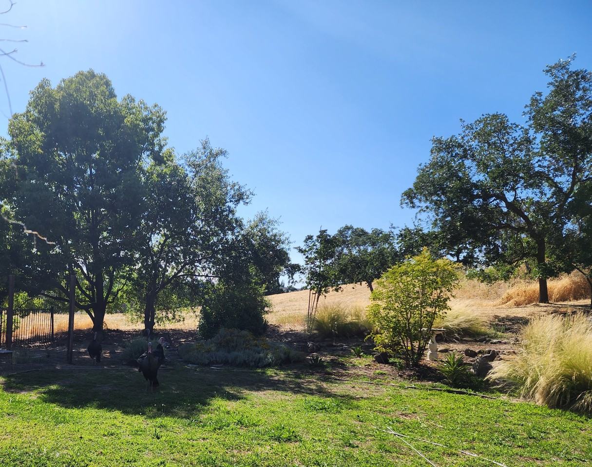 4540 N Star St #NA - Photo 3 of 36