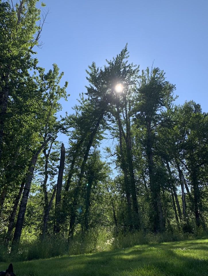 34 Locomotive Loop #NA - Photo 2 of 15