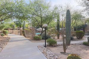 featured image of 19700 N 76th St