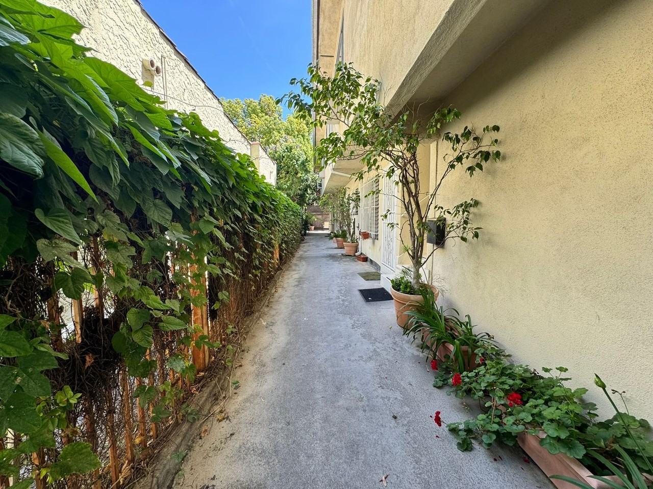 506 N Flores St - Photo 3 of 14