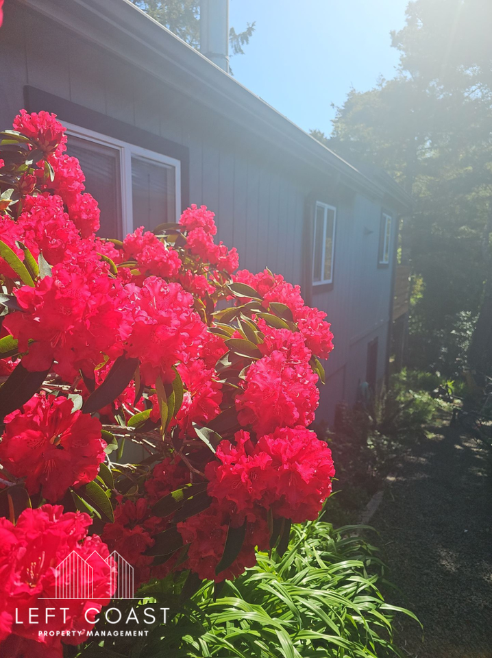 3102 Sw Coast Ave #1 - Photo 3 of 24