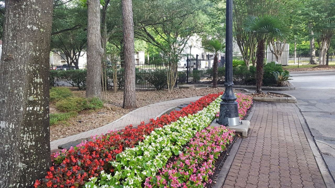 Serena Woods Apartments - Photo 3 of 21